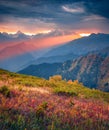 ÃÂ¡rack in the clouds at sunset. Unbelievable autumn view of mountain valley with Ushba peak. Royalty Free Stock Photo